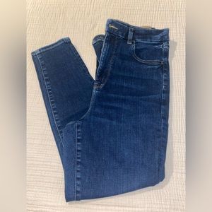 American Eagle Curvy 12 short jeans